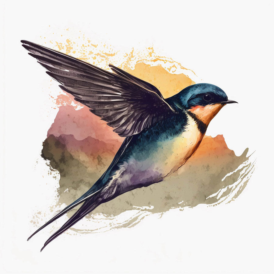 Swallow Bird