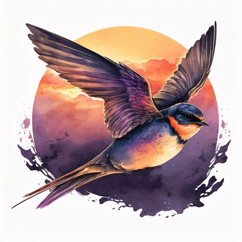 Swallow Bird
