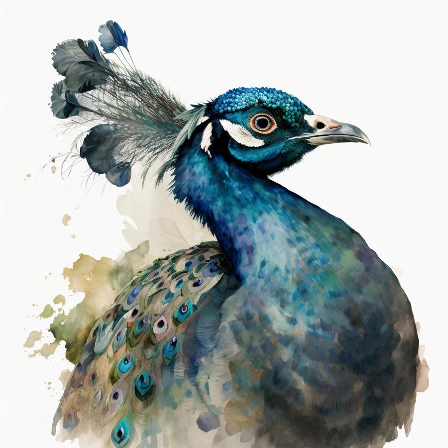 Peacock Bird