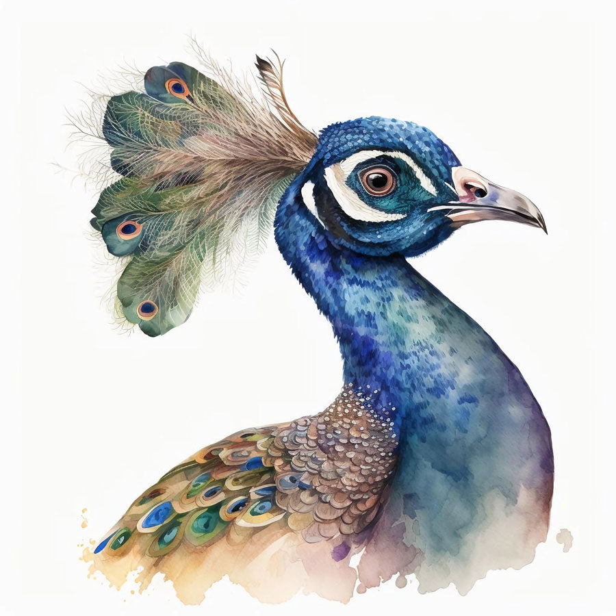 Peacock Bird