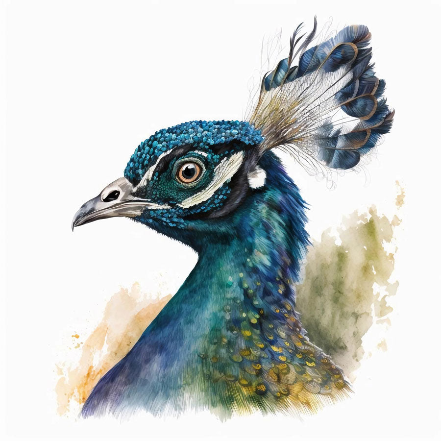 Peacock Bird