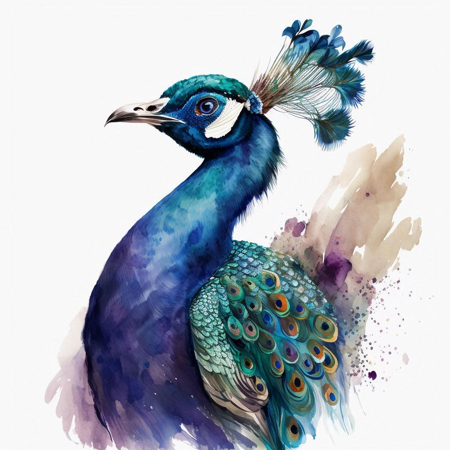 Peacock Bird