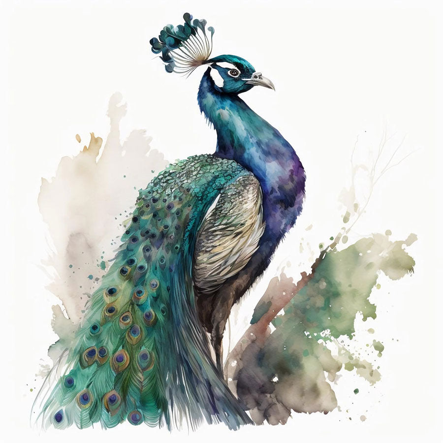 Peacock Bird