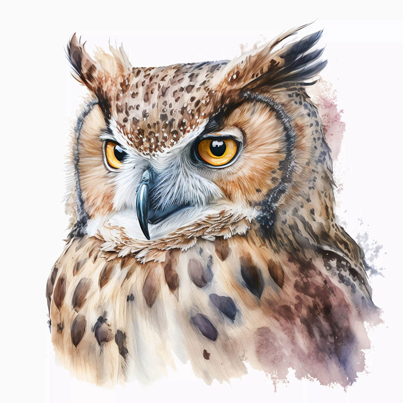 Eurasian Eagle-Owl Bird