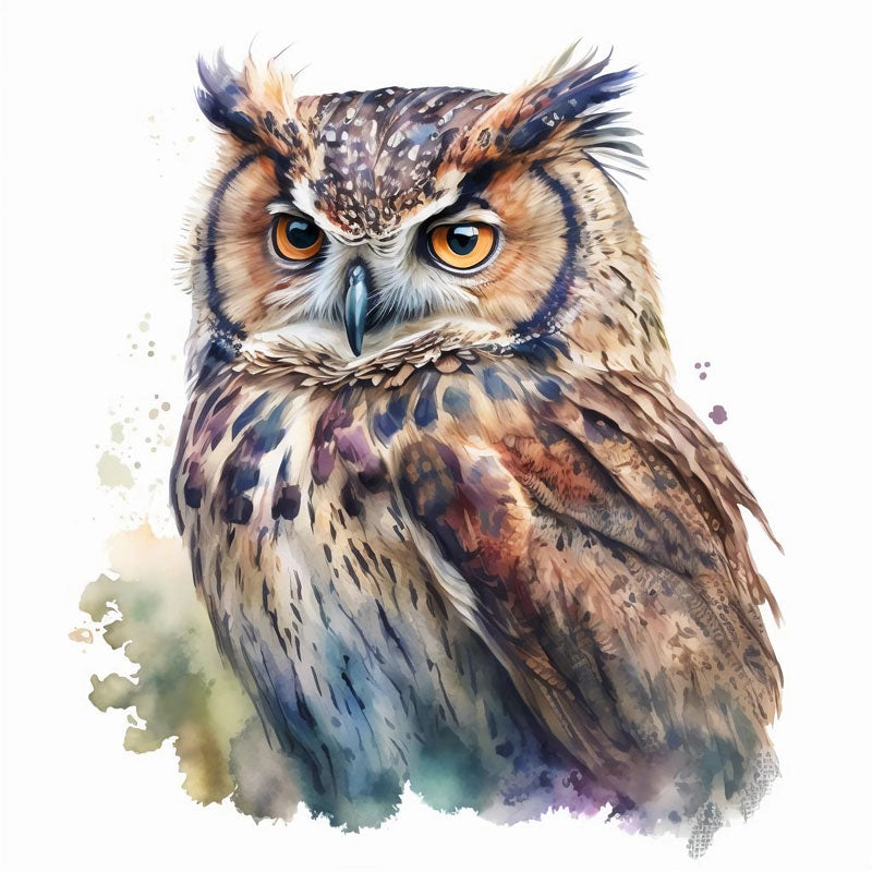 Eurasian Eagle-Owl Bird