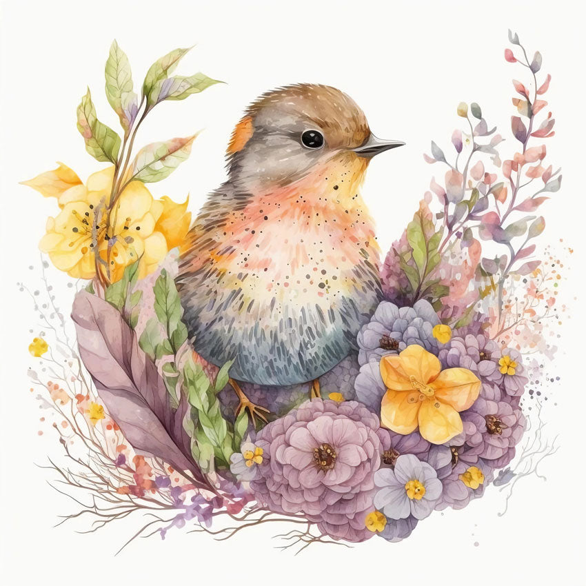 European Robin Bird