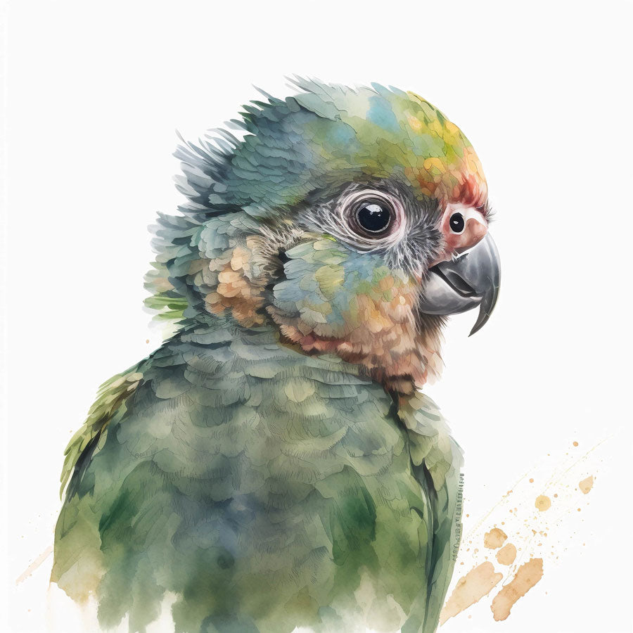 Baby Parrot Bird