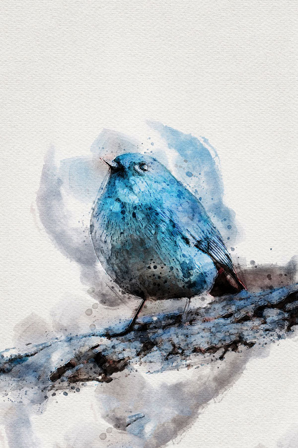 Bluebird