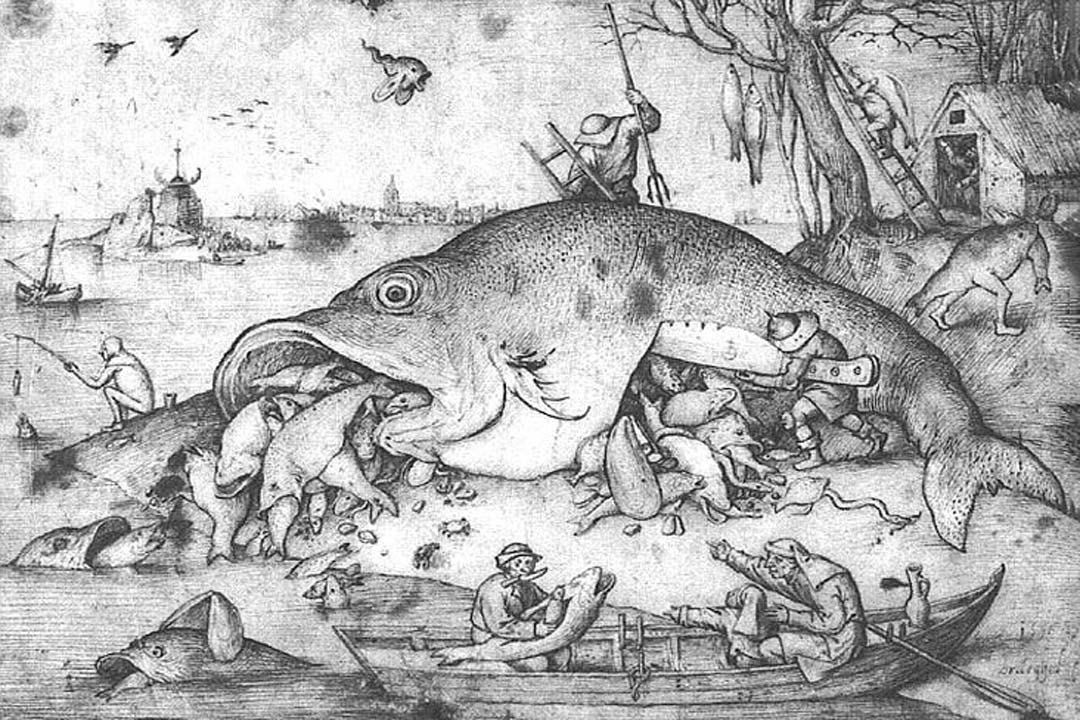 Big Fishes Eat Little Fishes 1556