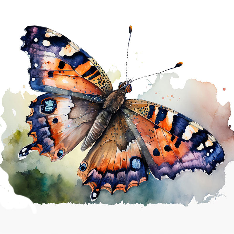 Water Colour Butterfly