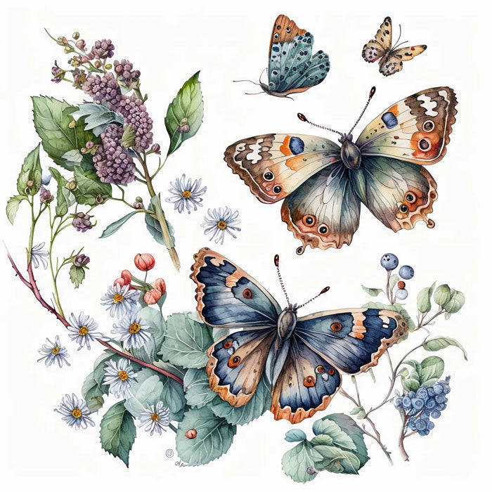 Water Colour Butterfly