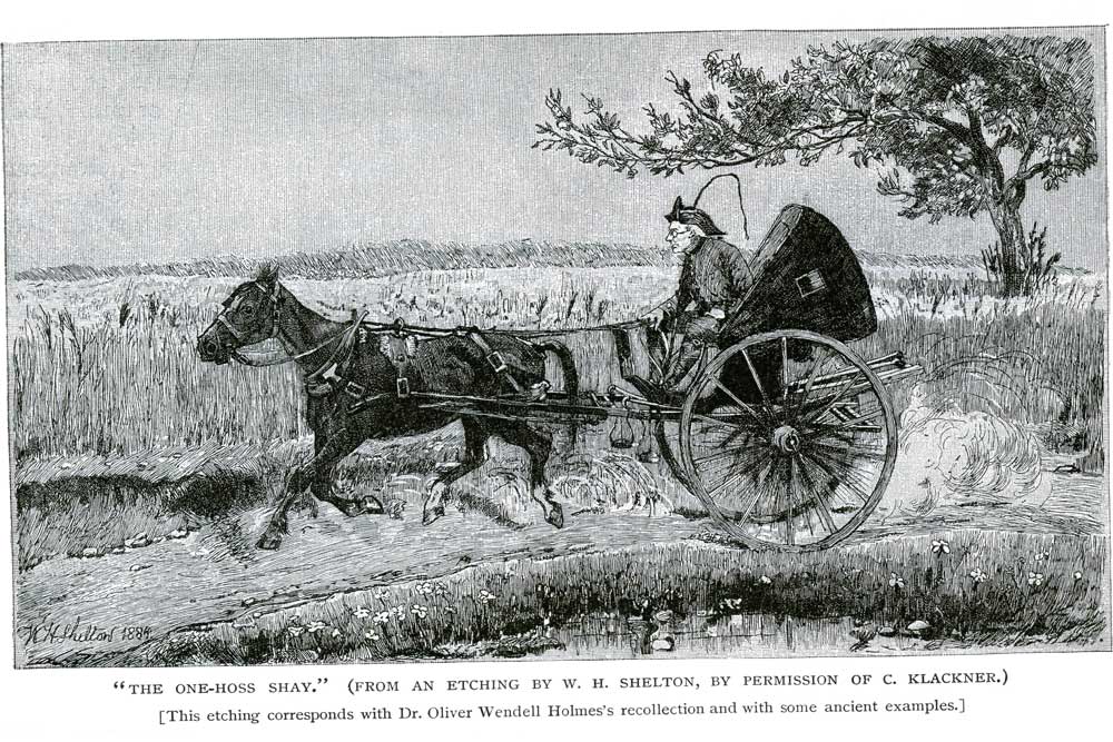 Vintage Black & White Horse