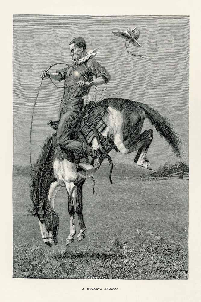 'A Bucking Bronco' Vintage Horse