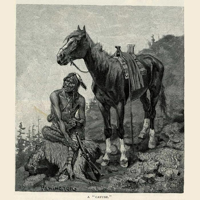 Vintage Black & White Horse