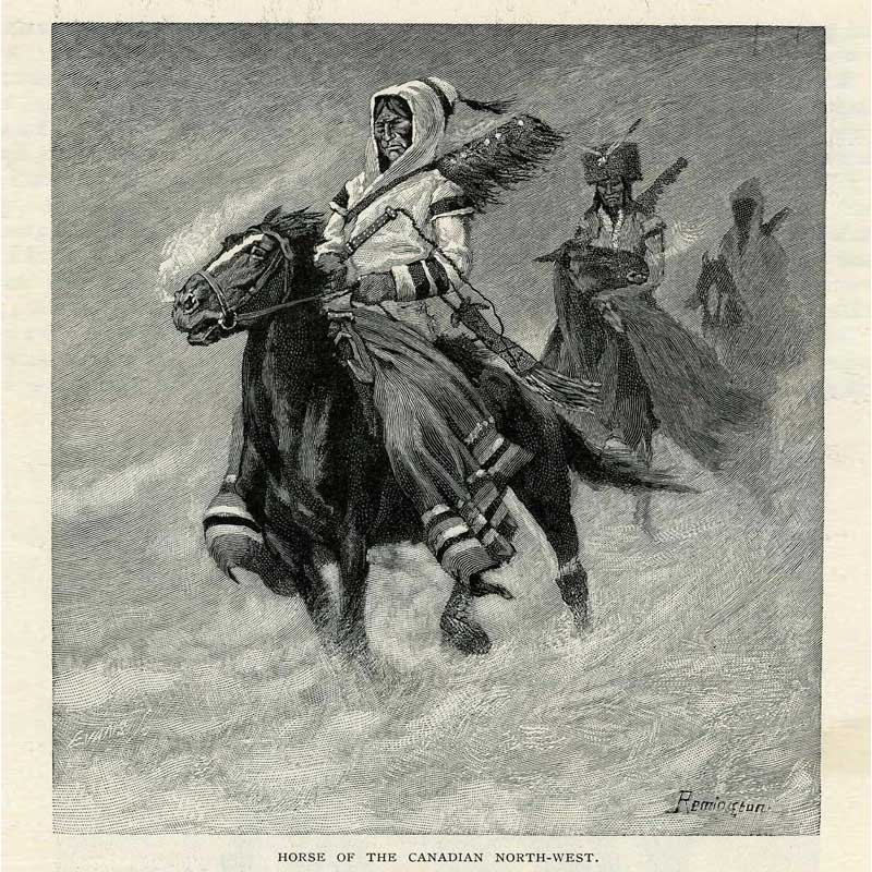 Vintage Black & White Horse