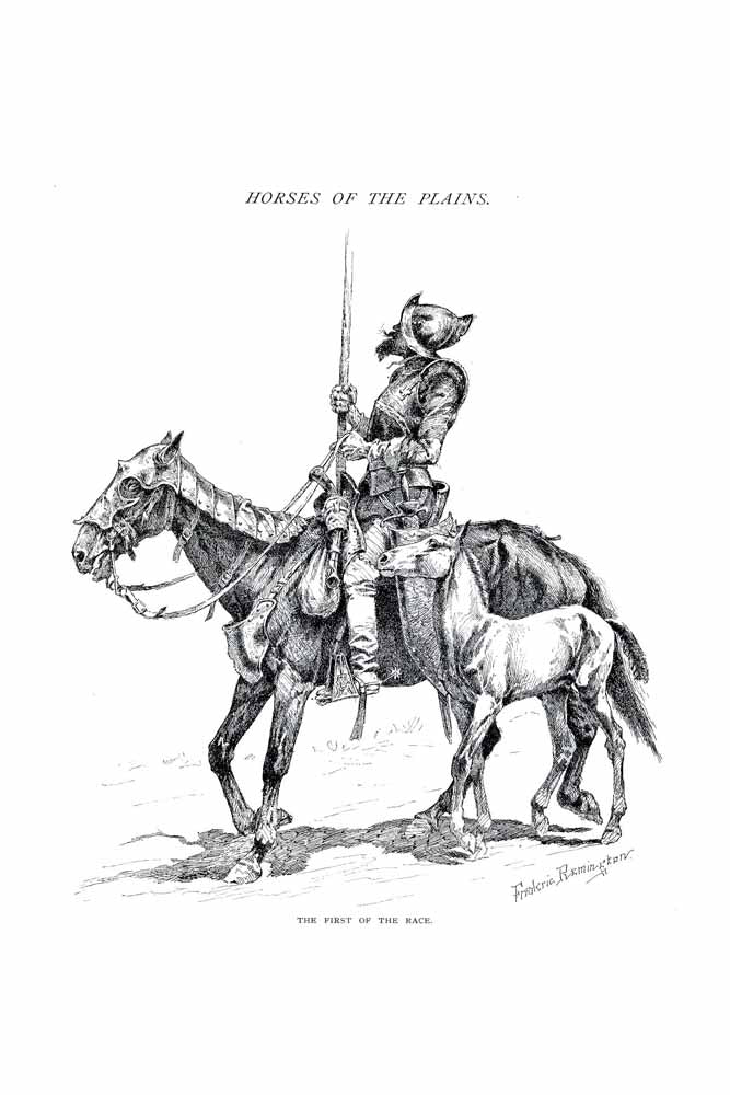 'Horses Of The Plains' Vintage Horse