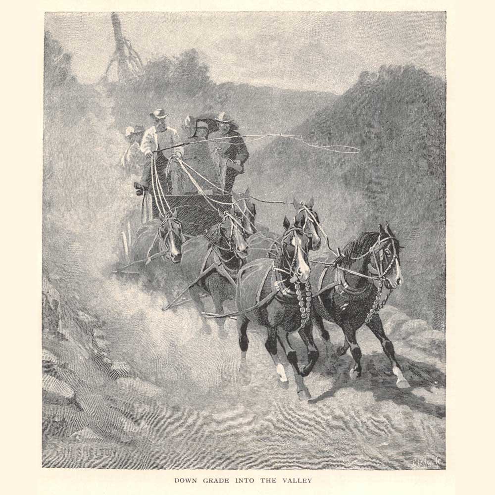 Vintage Black & White Horse