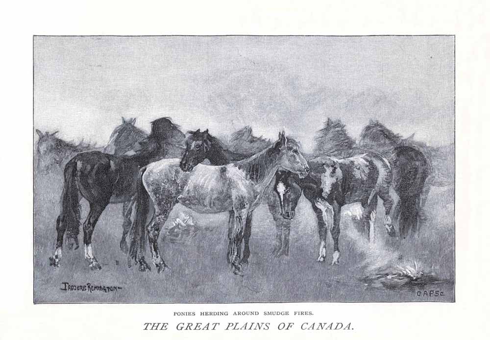 The Great Plains Of Canada