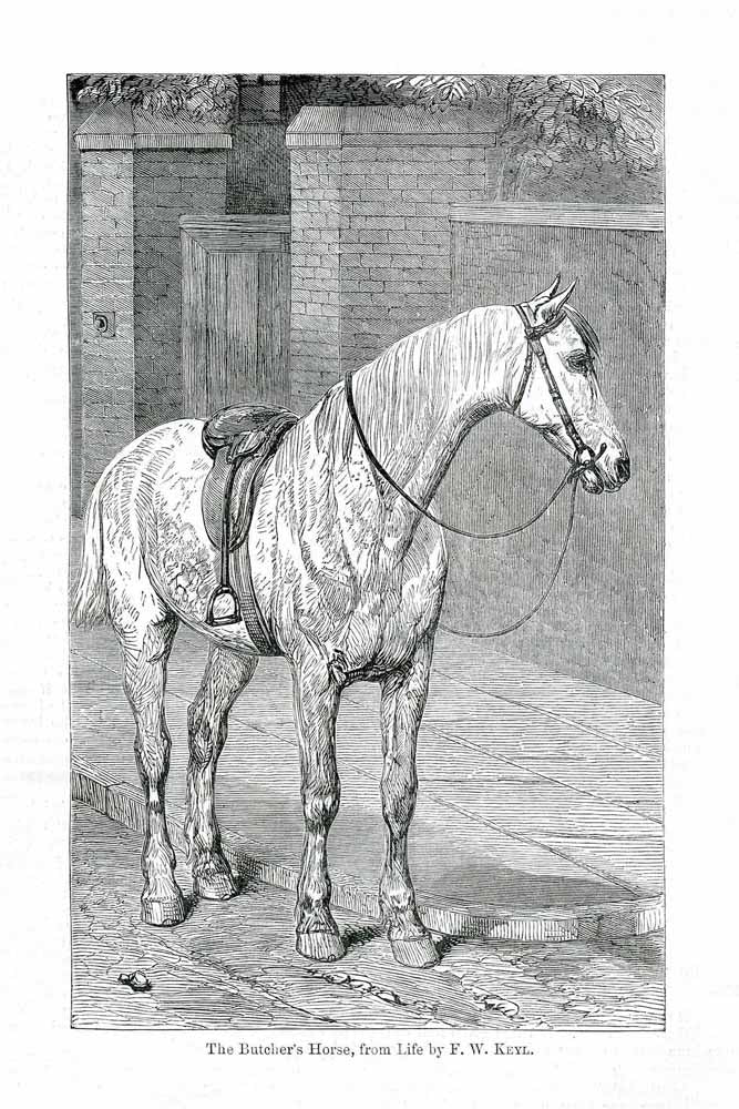 'The Butcher's' Vintage Horse