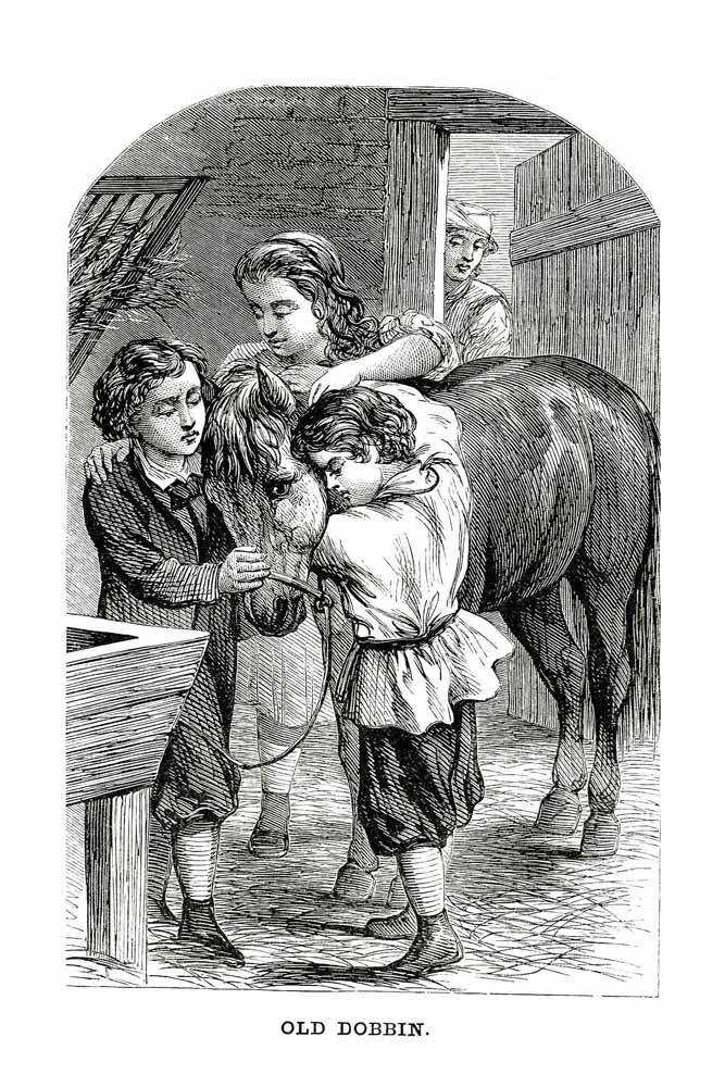 'Old Dobbin' Vintage Black & White Horse