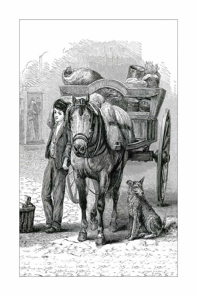 Vintage Black & White Horse