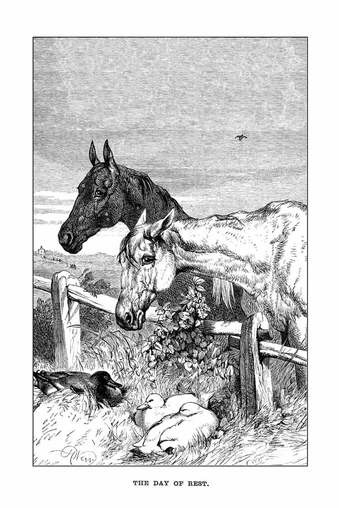 The Day Of Rest