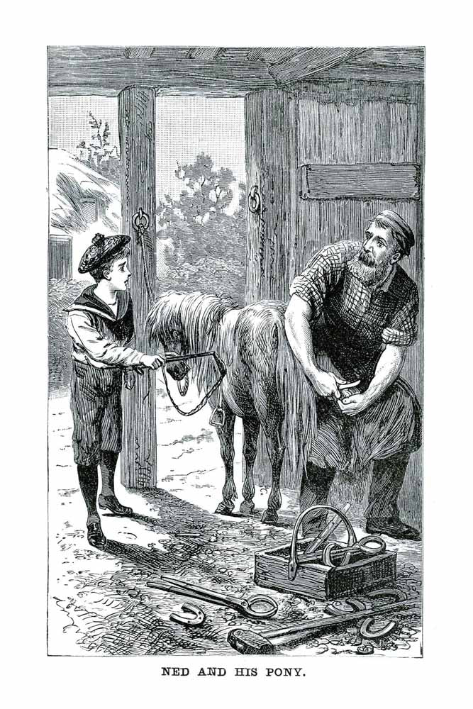 Vintage Black & White Horse