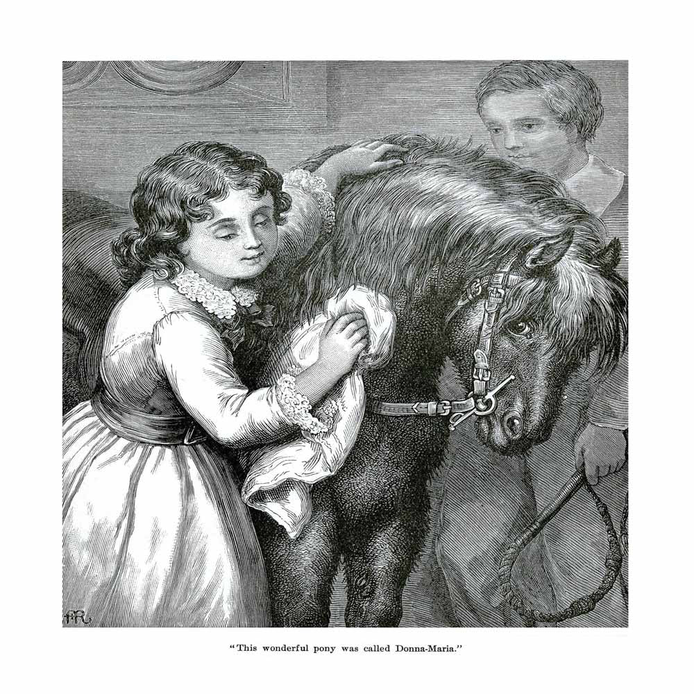 Vintage Black & White Horse