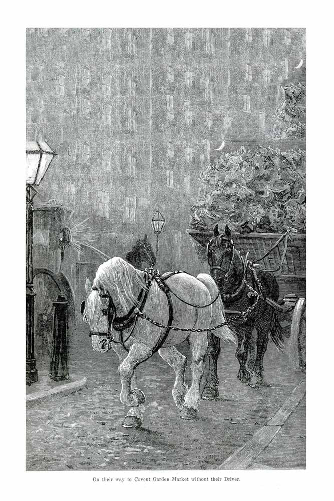 Vintage Black & White Horse