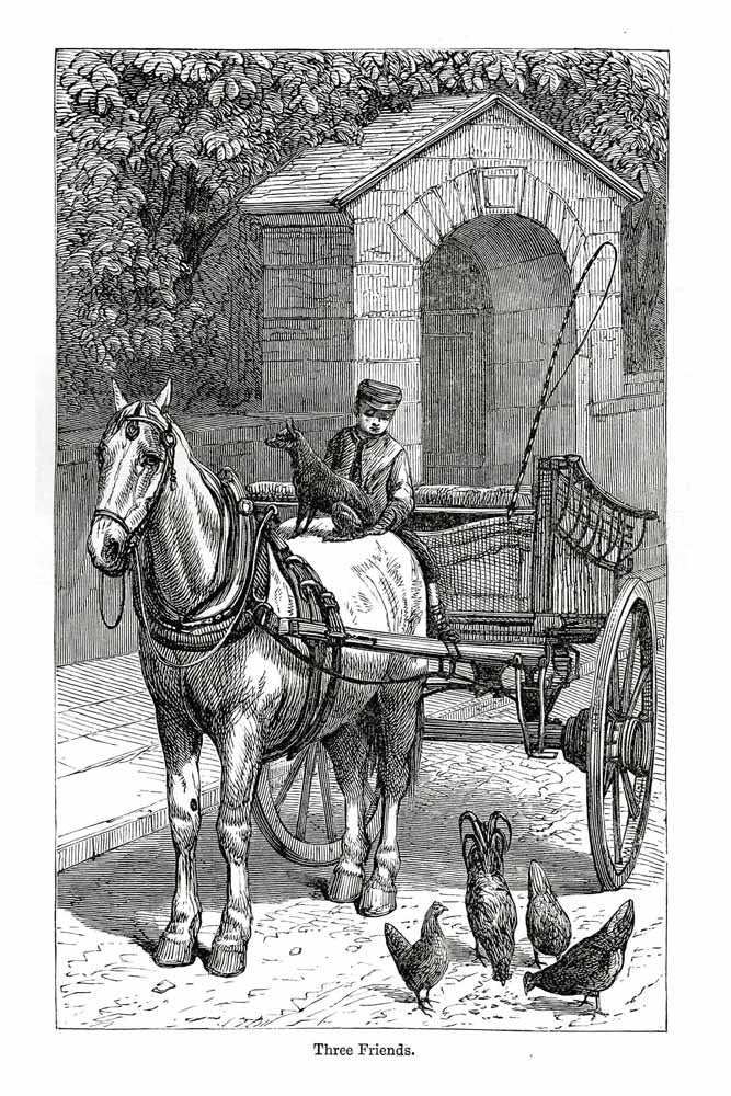 Vintage Black & White Horse