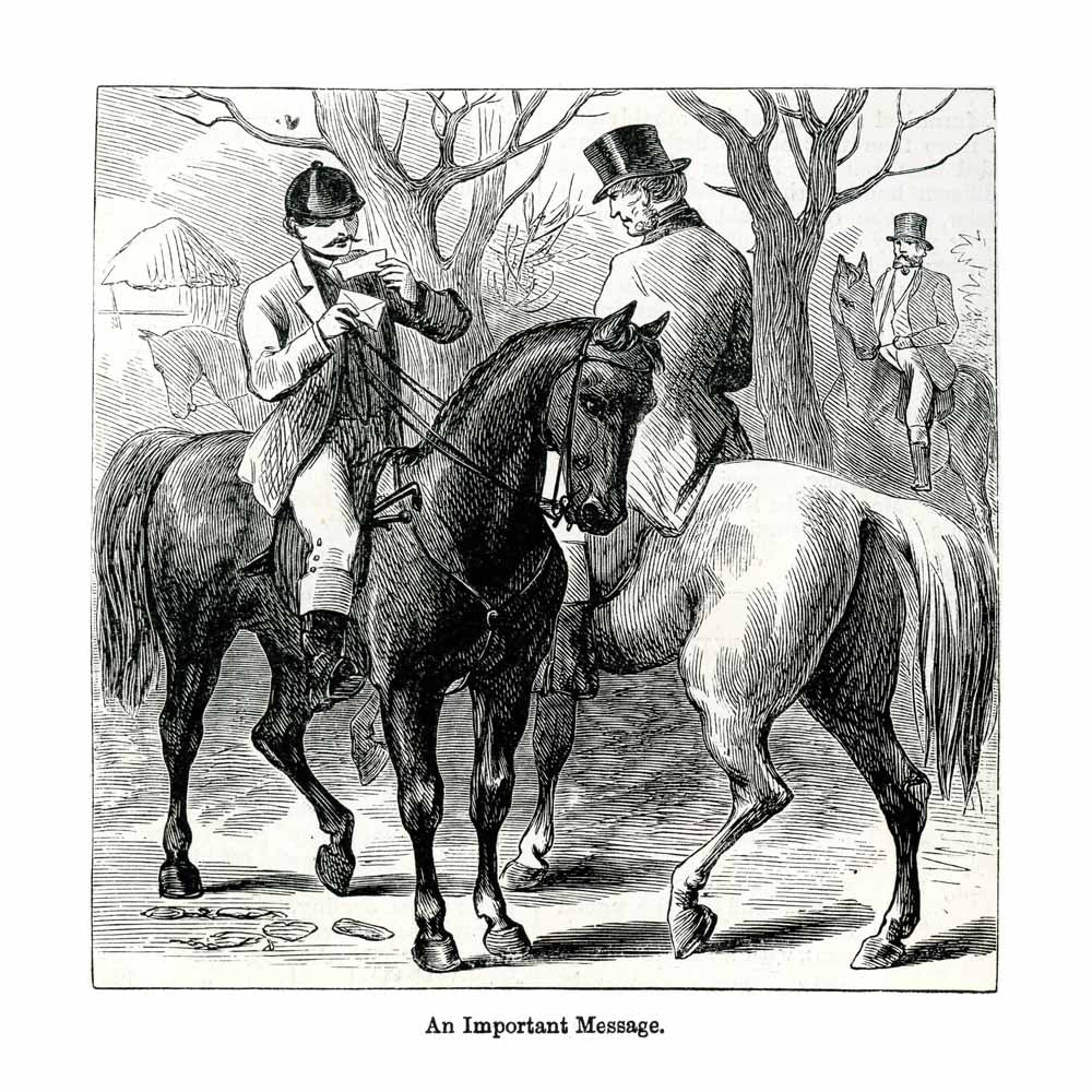 Vintage Black & White Horse