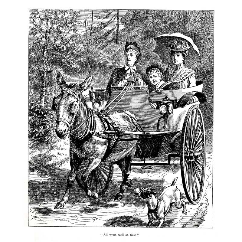 Vintage Black & White Horse