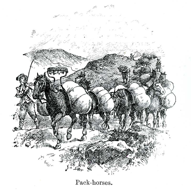 Vintage Black & White Horse