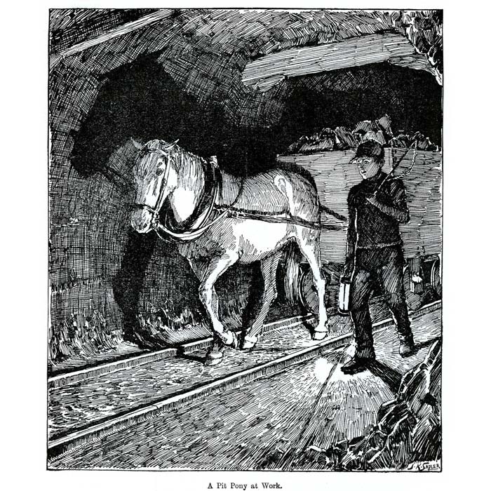 Vintage Black & White Horse