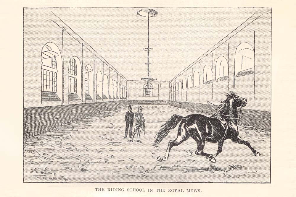 Vintage Black & White Horse