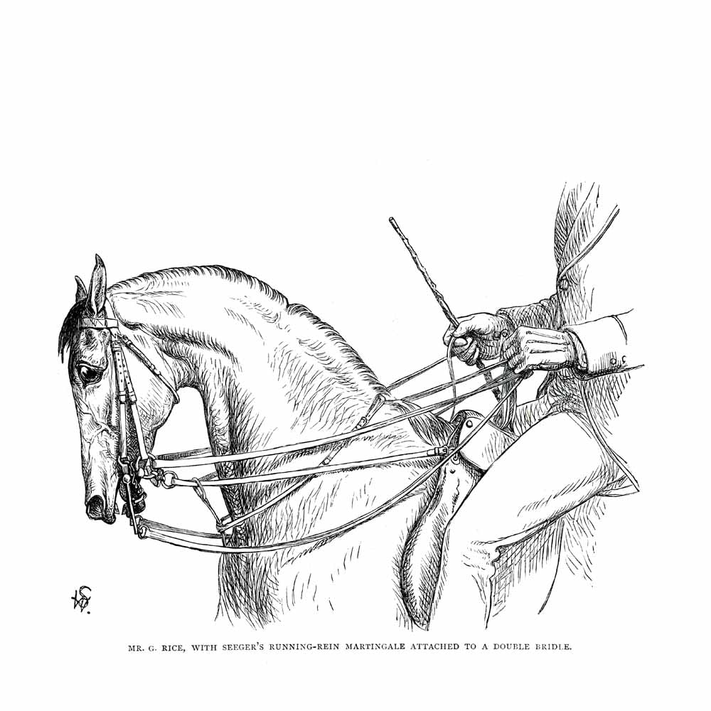 'A Double Bridle' Vintage Horse