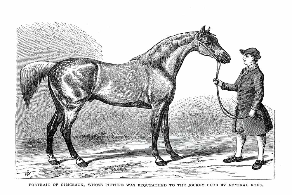Portrait Of Gimcrack