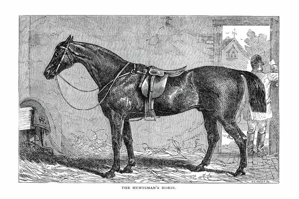 'The Huntsman's' Vintage Horse