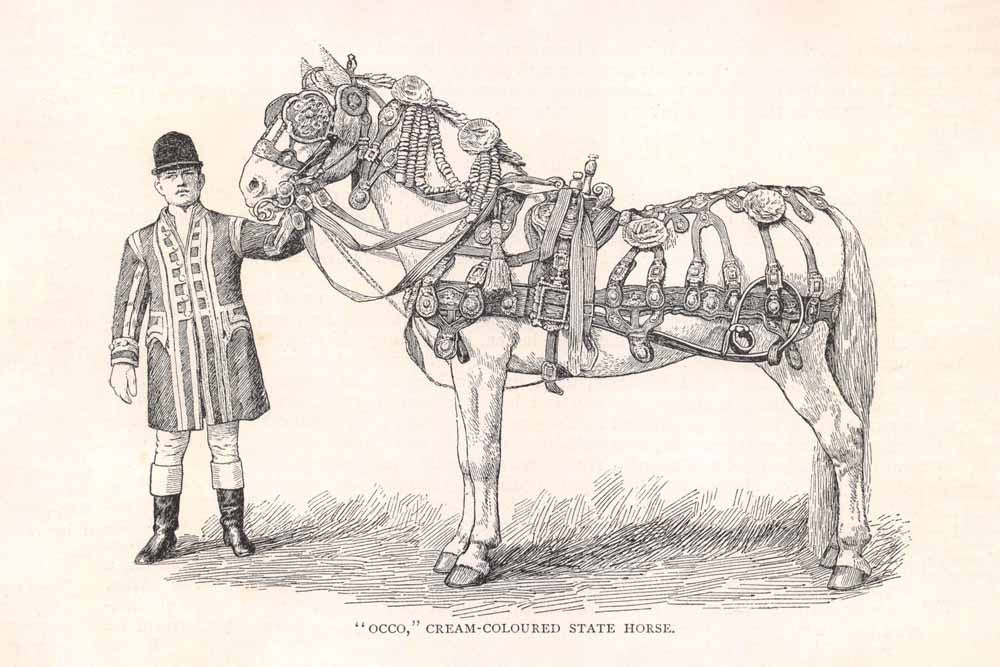 'Cream Coloured State Horse' Vintage Horse