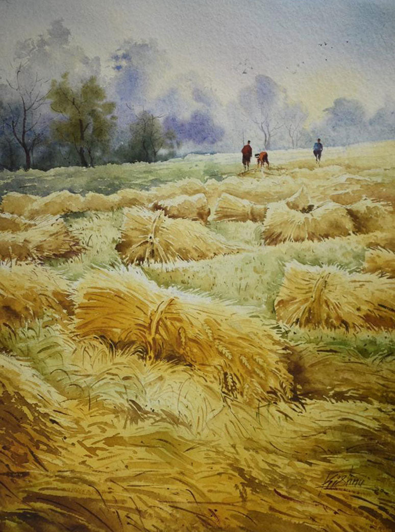 Harvest - Water Colour Painting