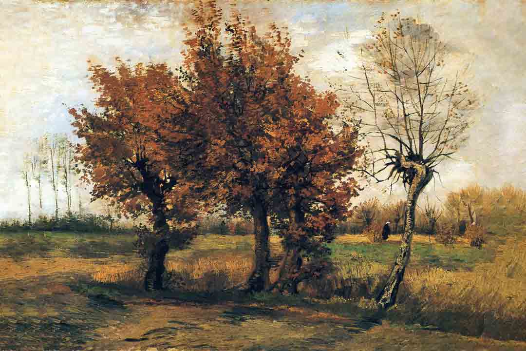 Autumn Landscape