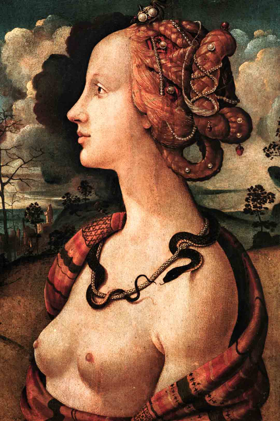 Portrait Of Simonetta Vespucci 1480