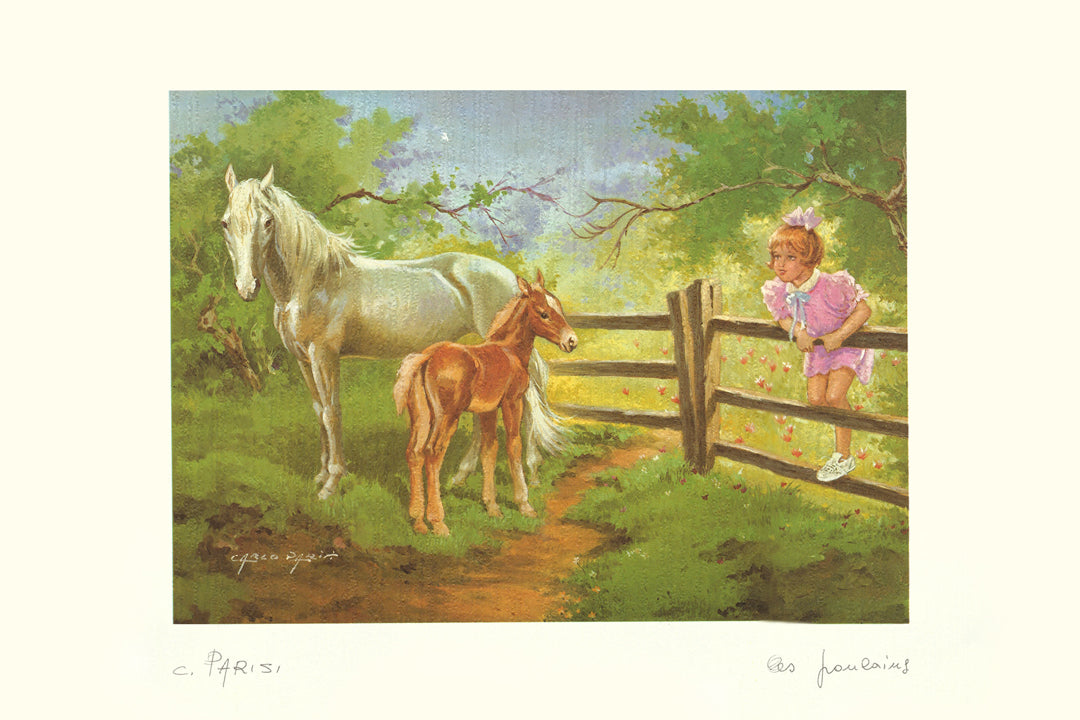 Horses On The Field With Girl