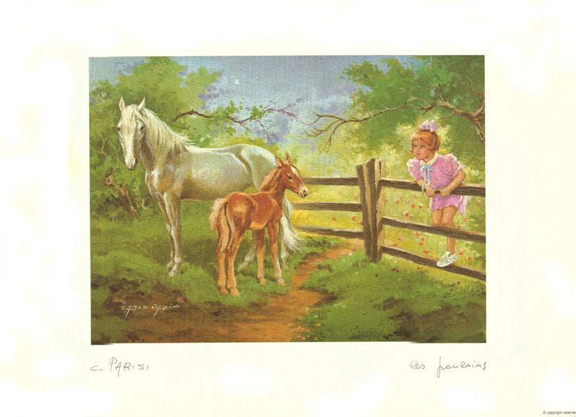 Horses On The Field With Girl