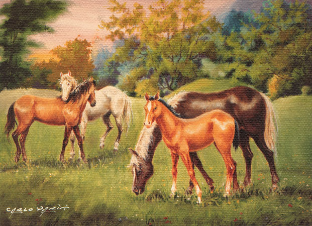 Horses in a Field