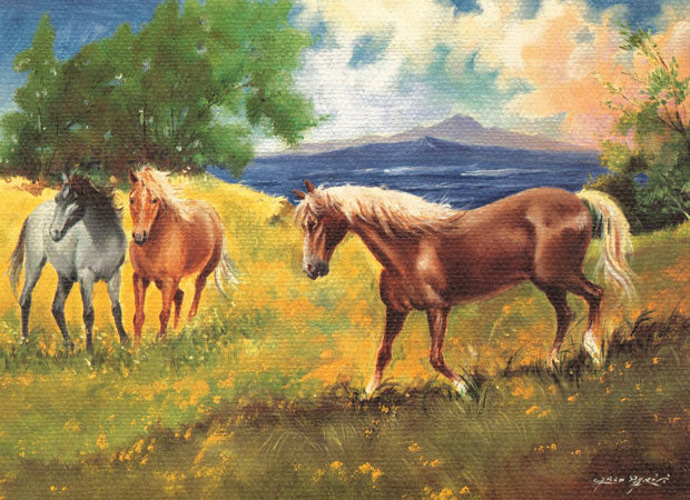 Three Horses in Field