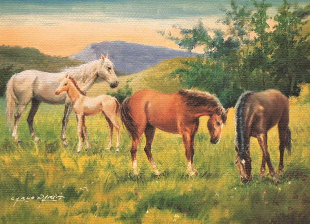 Group of Horses and a Foal