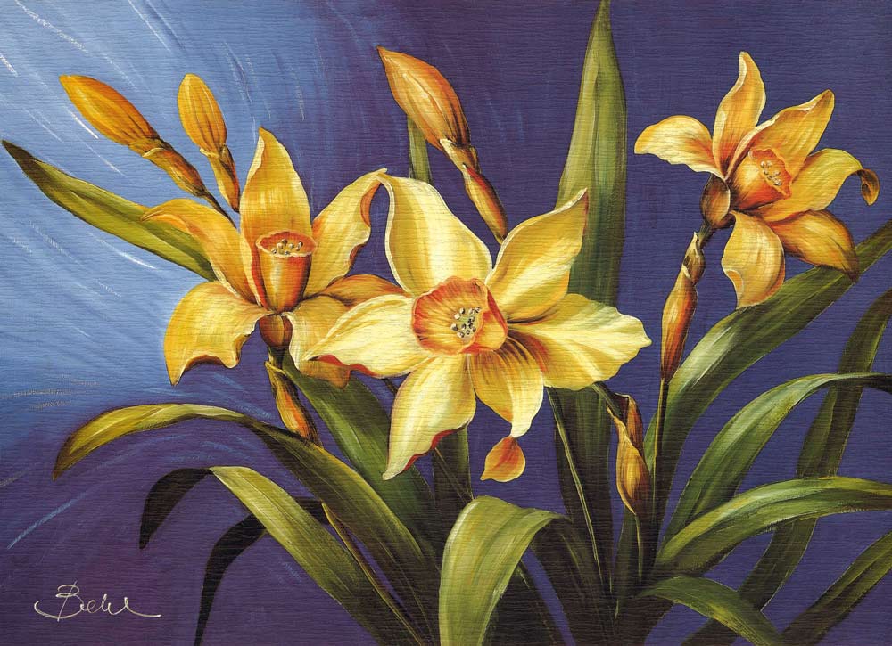 Daffodils