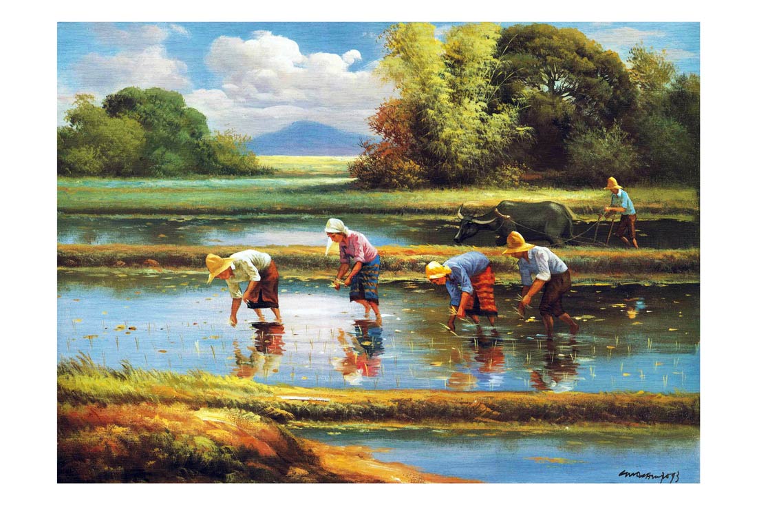The Rice Field