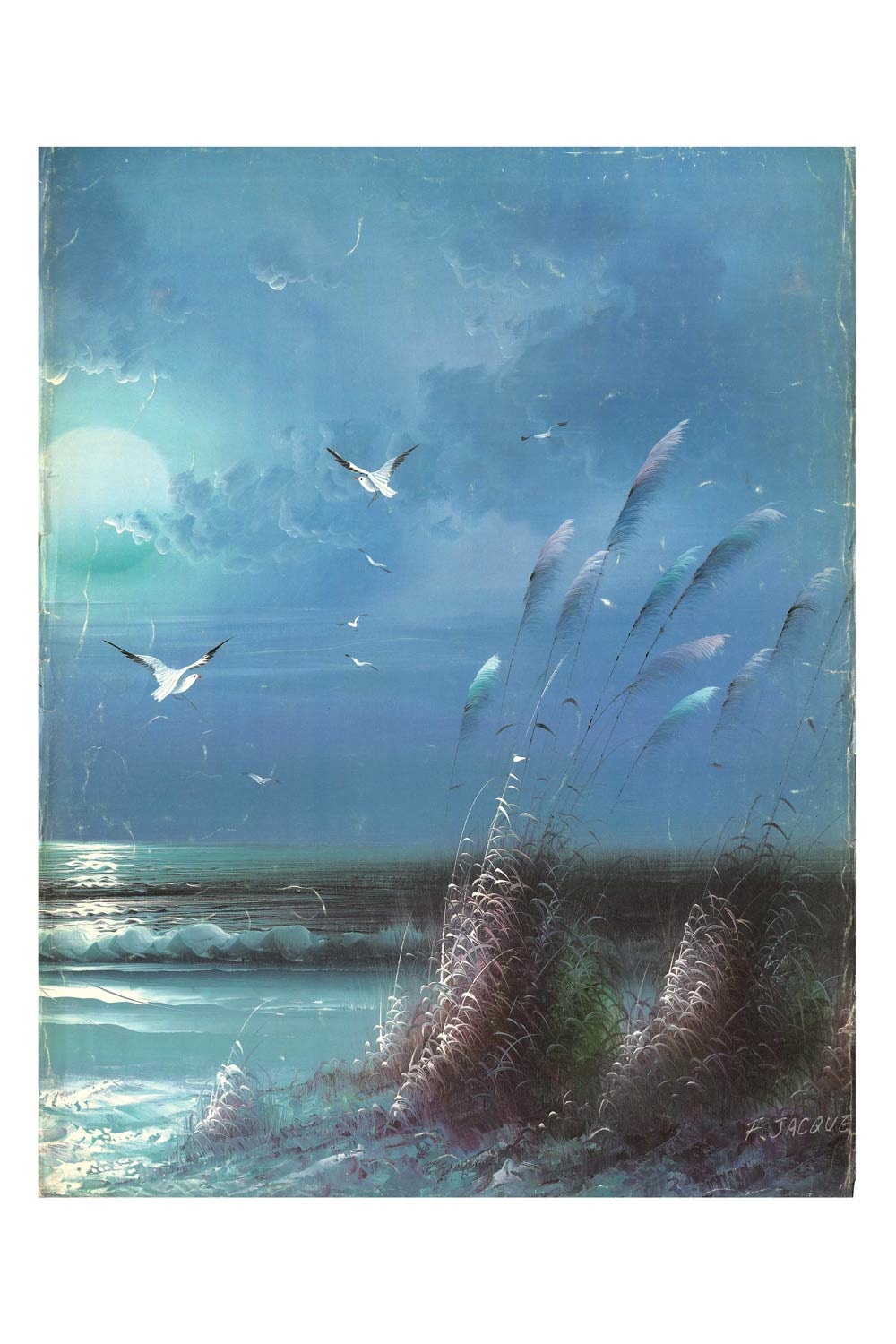 Ocean Scenes